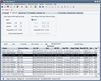 binary star report
